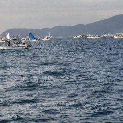 名田屋での洲本太刀魚釣り